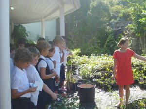 International School of the Turks and Caicos Islands