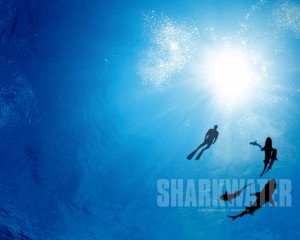 Sharkwater