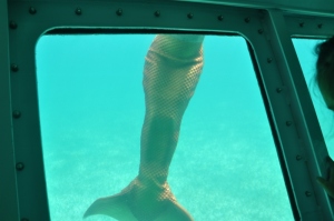 Mermaid Submarine (14) (800x531)
