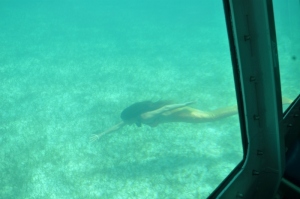 Mermaid Submarine (32) (800x531)