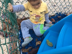 Nursery School at the International School of the TCI