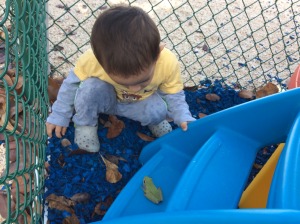Nursery School at the International School of the TCI