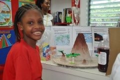 Science-fair-2015-10