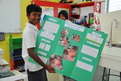 Science-fair-2015-4