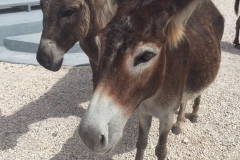 GrandTurk_25