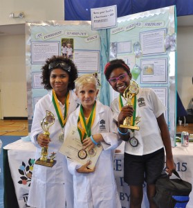 TCI Science Fair 2015