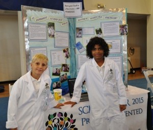 TCI-Science-Fair-20-1280x1092-300x255