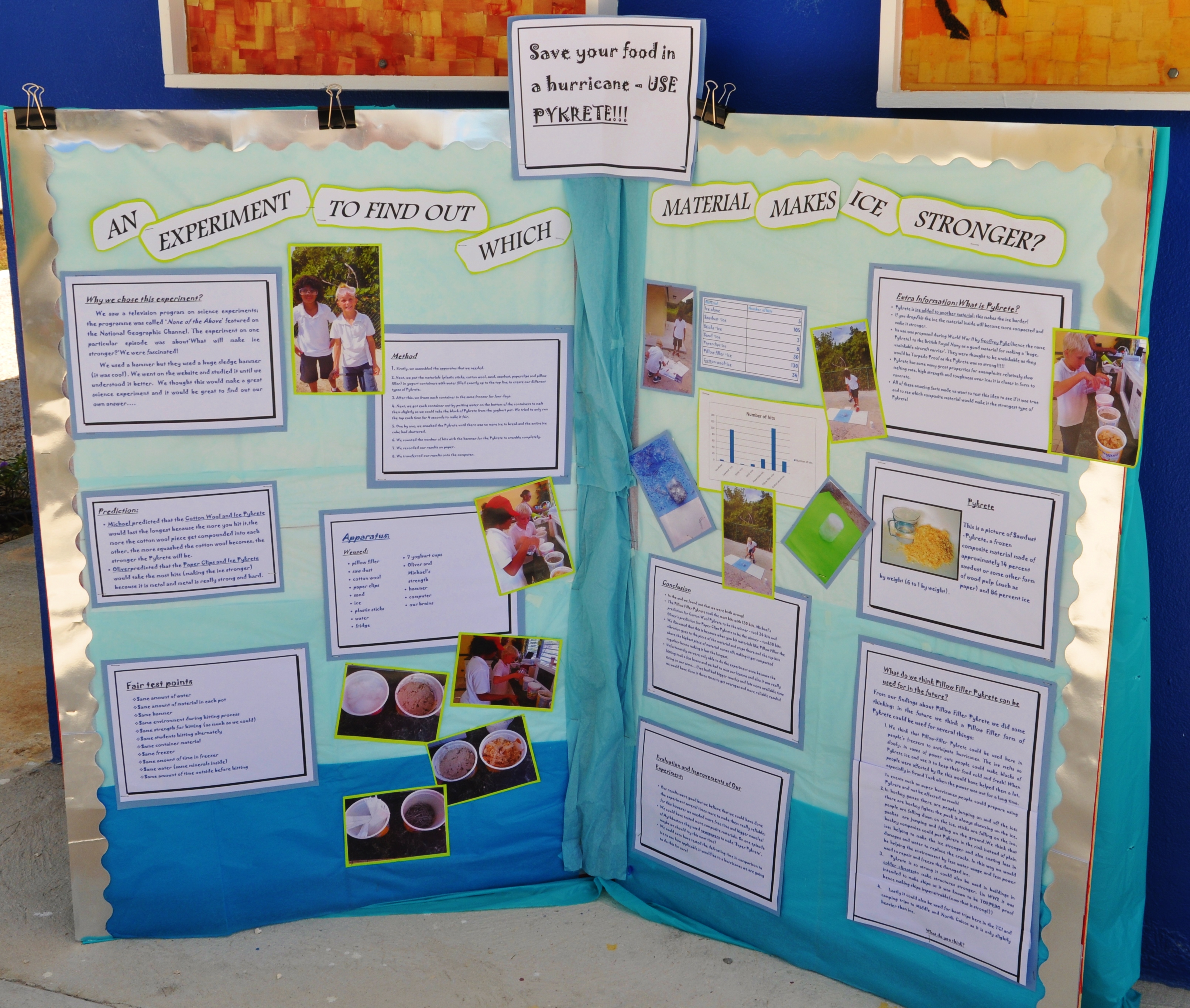 sociology science fair projects