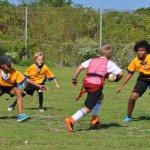Provo-Primary-Schools-Tag-Rugby-Tournament-Dec-2015-52-150x150
