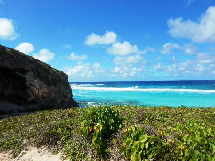 North and Middle Caicos
