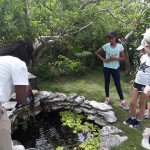 Grade 6 visit the Nature Discovery Center, Amanyara