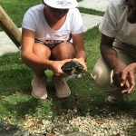 Grade 6 visit the Nature Discovery Center, Amanyara