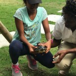 Grade 6 visit the Nature Discovery Center, Amanyara