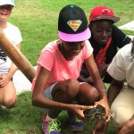 Grade 6 visit the Nature Discovery Center, Amanyara