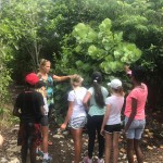 Grade 6 visit the Nature Discovery Center, Amanyara