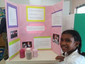 International Science Fair 2018