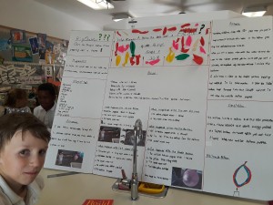 International Science Fair 2018